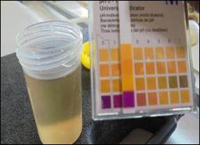 Chemical cleaning 4.jpg